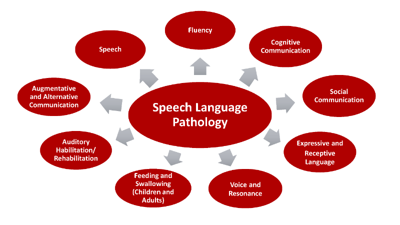 A National Speech-Language Aphasia Improvement Group